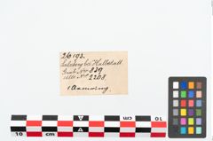 Etikett zu Bronzeknotenarmreif (NHMW-PRAE-026193)
